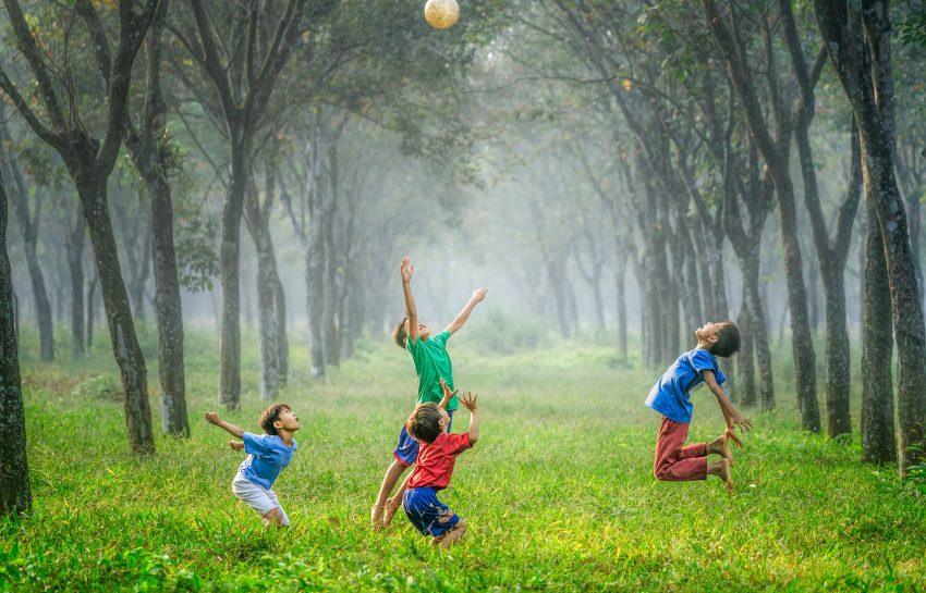Wat moet je niet in de tuin hebben als je kleine kinderen hebt?