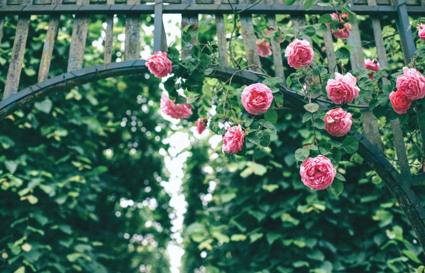 Hoe maak jij jouw tuin zomerklaar?