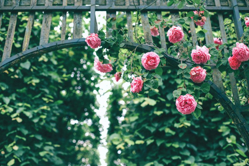 Hoe maak jij jouw tuin zomerklaar?