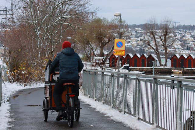 Elektrische bakfietsen: een diepgaande vergelijking