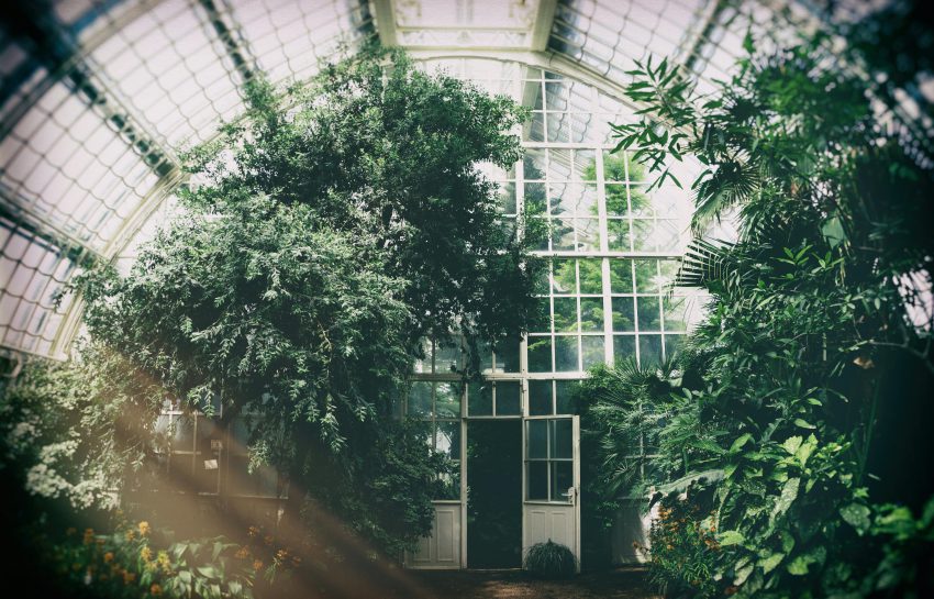 Overkappingen die je tuin transformeren tot leefruimte